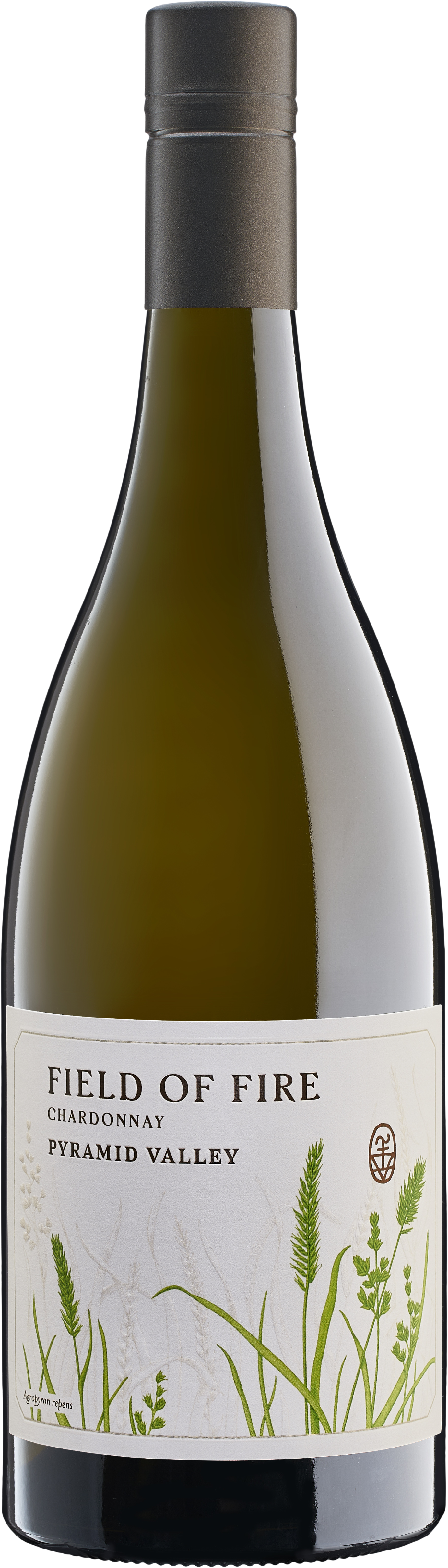 Pyramid Valley Field of Fire Chardonnay 2022